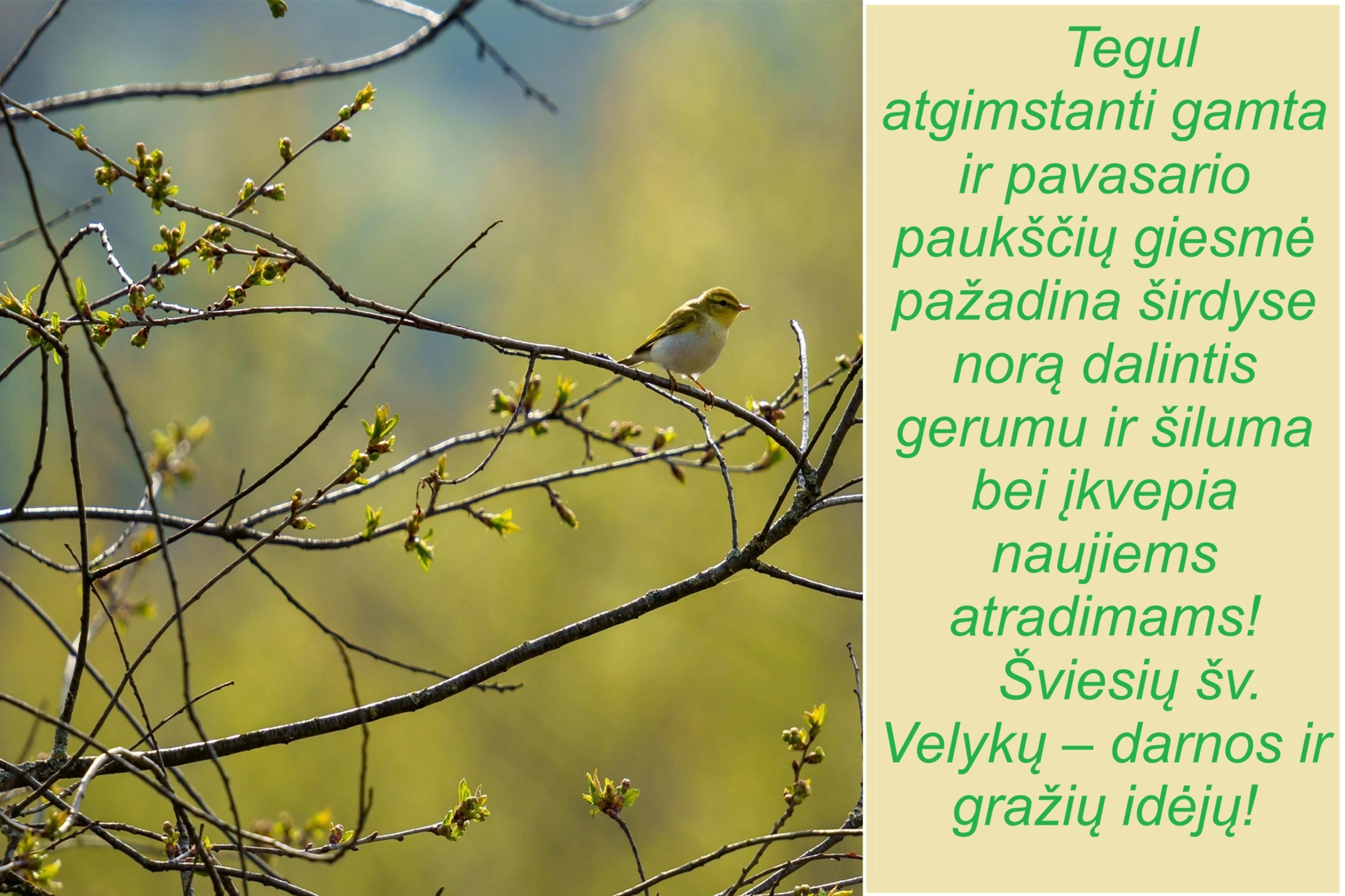 Iliustracija